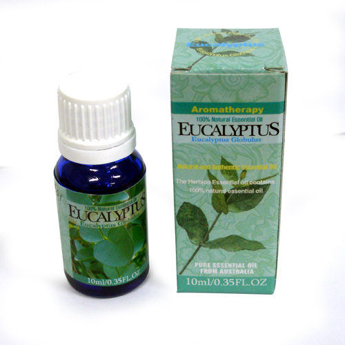  Į ȿ 10ml (Eucalyptus)